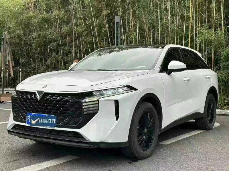 江門22年啟辰大V4