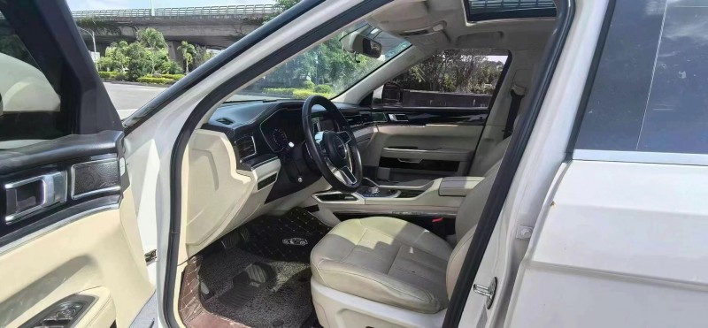 泰安17年眾泰T7003