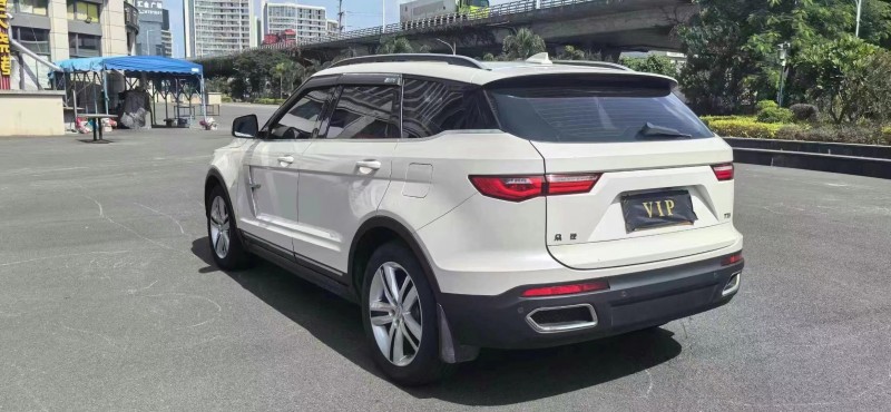 泰安17年眾泰T7009