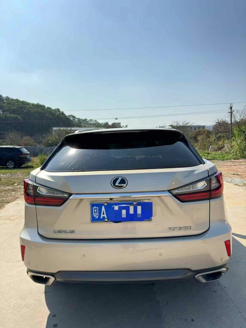 广州18年雷克萨斯RX9