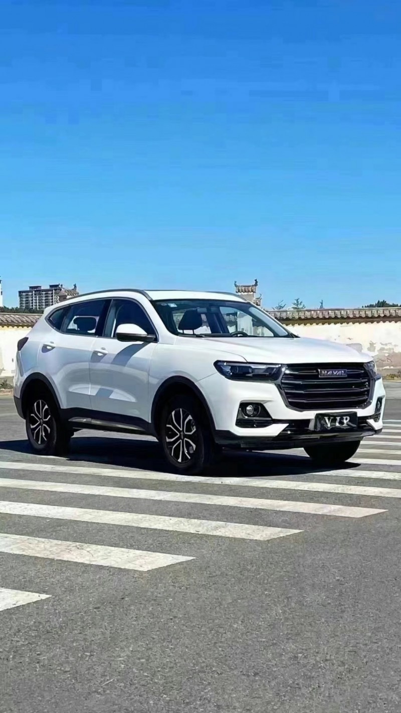 廊坊23年哈弗H63