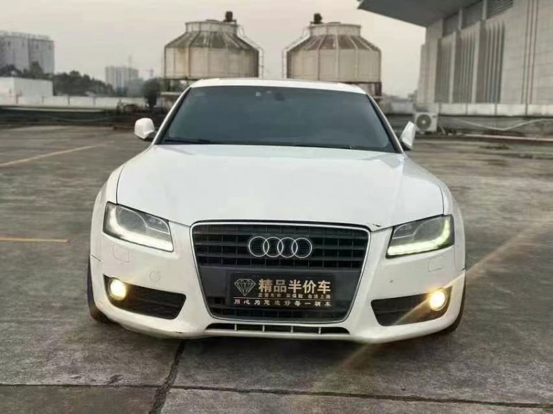 东莞10年奥迪A51