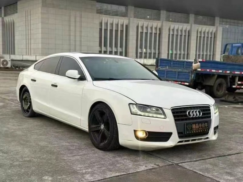 东莞10年奥迪A52