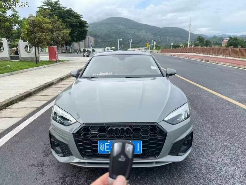 东莞21年奥迪A51