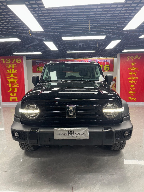 成都22年長城汽車坦克3001