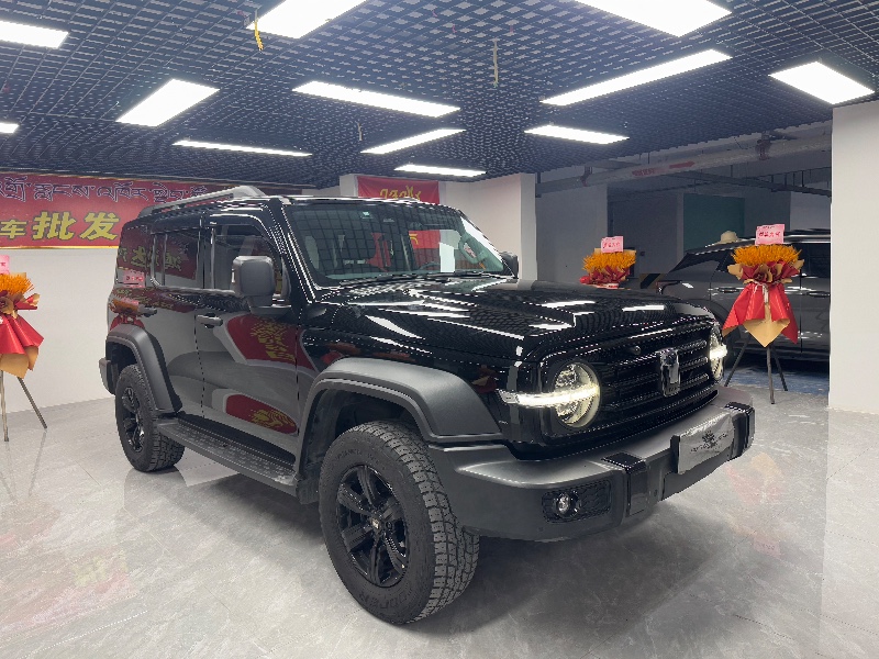 成都22年長城汽車坦克3002
