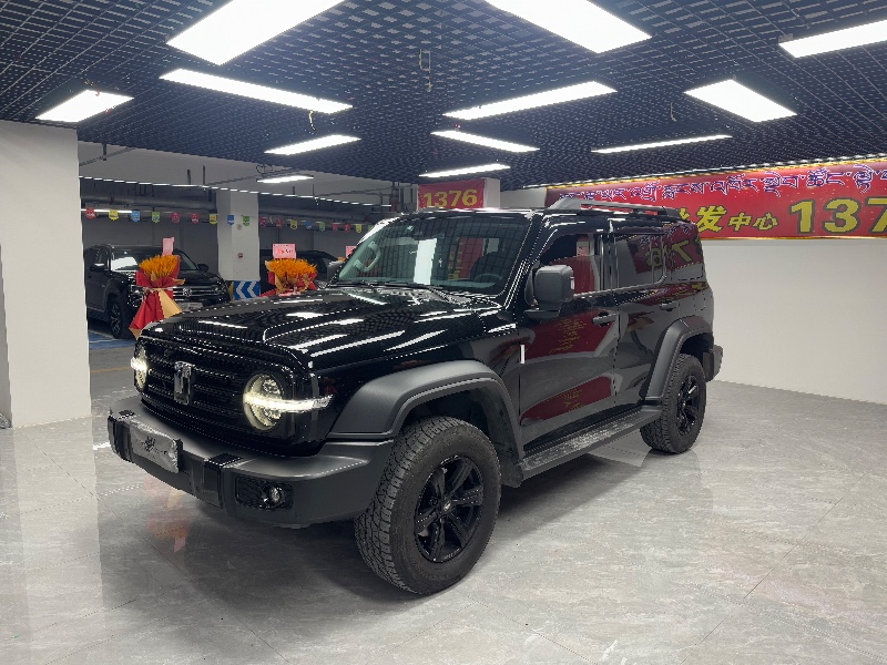 成都22年長城汽車坦克3003