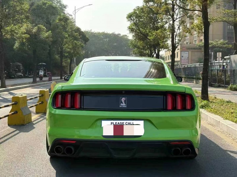 广州16年福特野马9