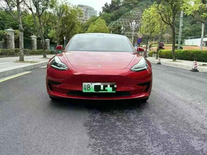 广州20年特斯拉MODEL 31