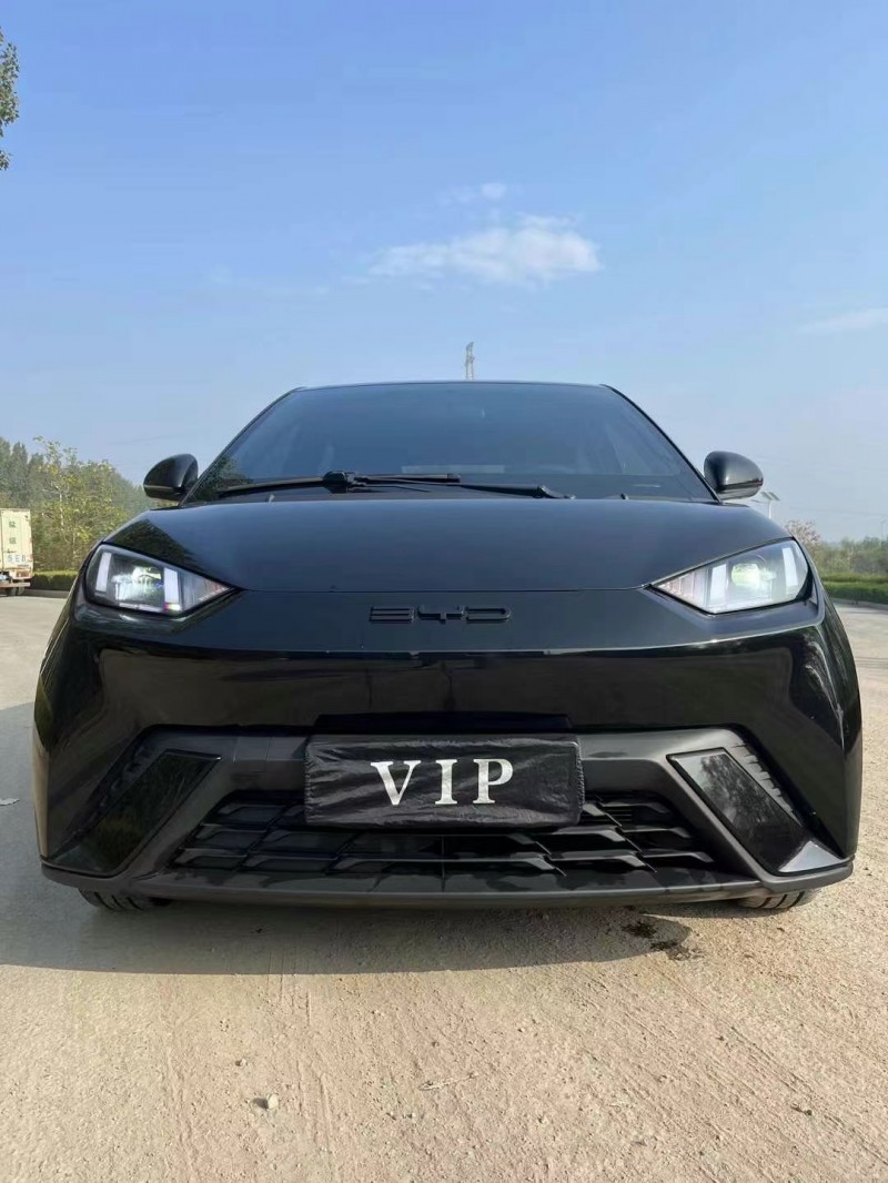 济宁23年比亚迪海鸥1