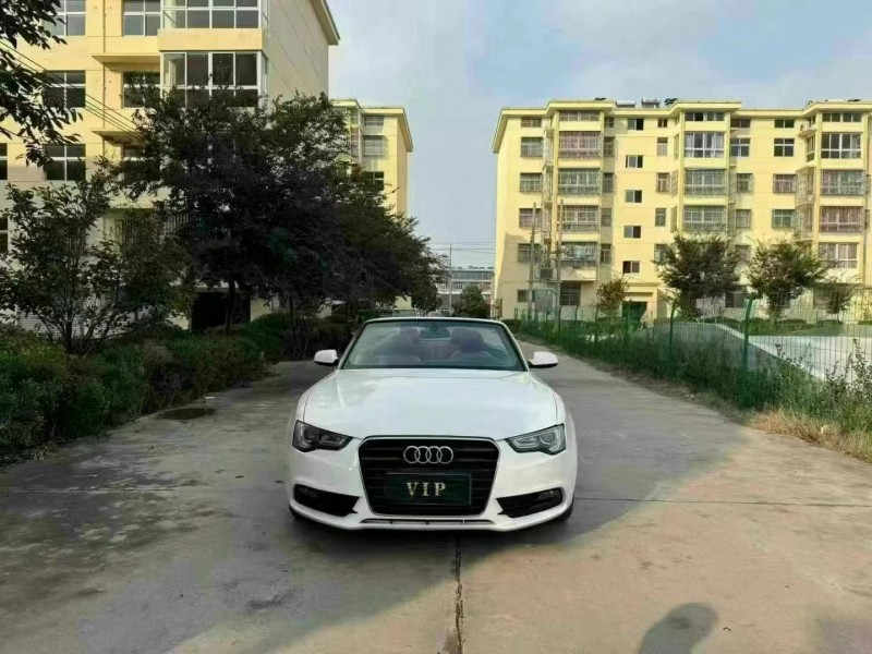 徐州14年奥迪A51