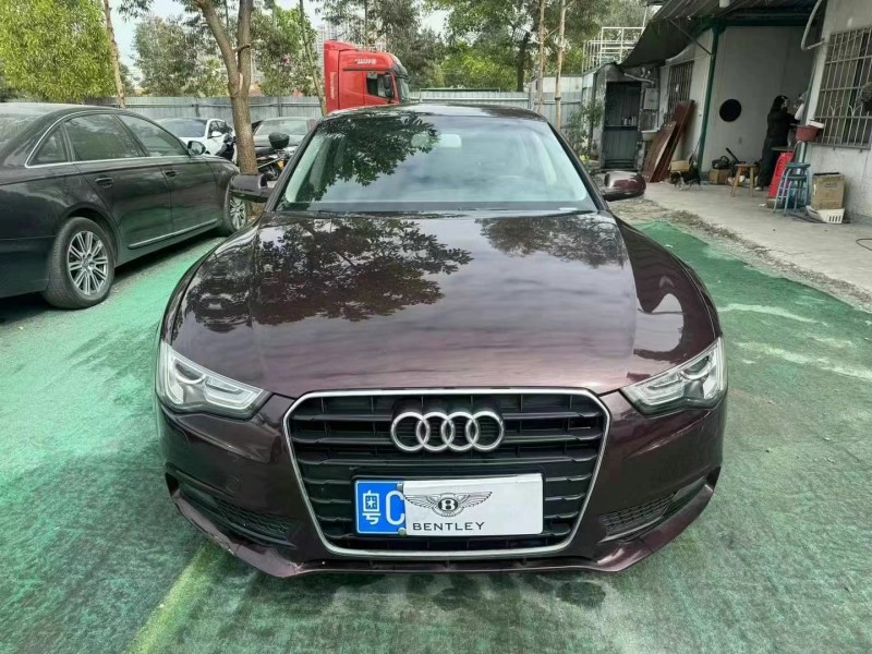 广州14年奥迪A51