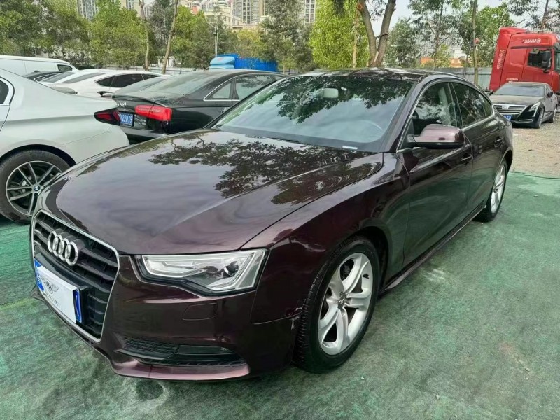 广州14年奥迪A52