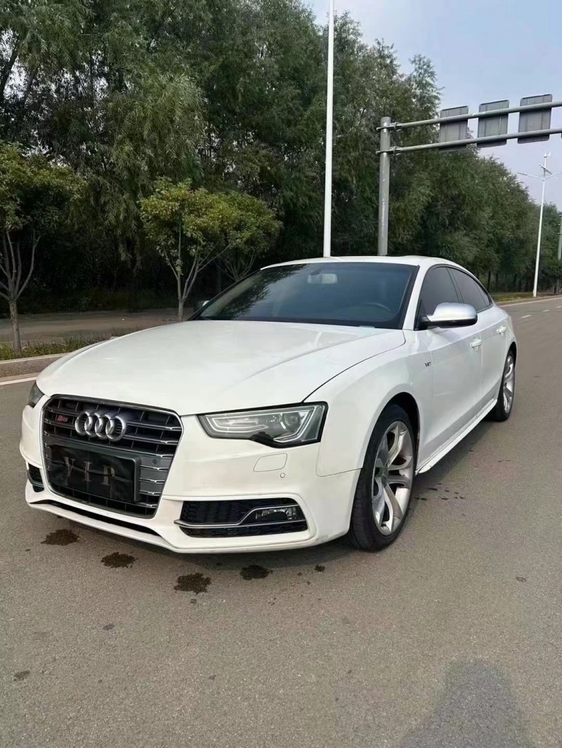 枣庄15年奥迪S53