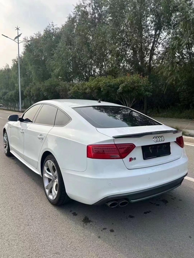 枣庄15年奥迪S58