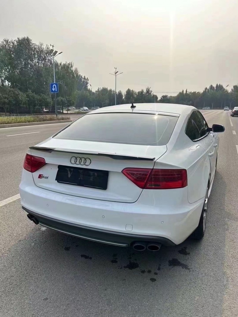 枣庄15年奥迪S59