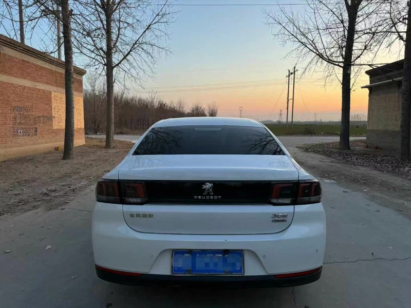 保定18年标致3089