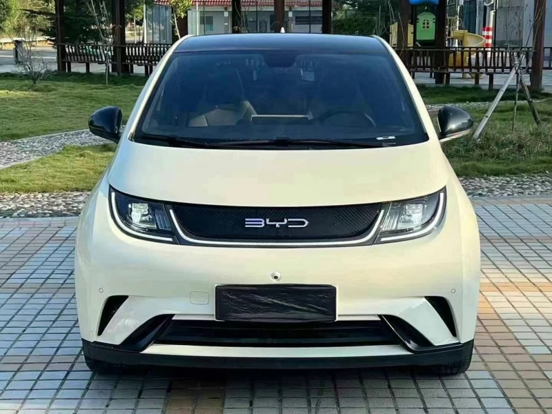 东莞23年比亚迪海豚1