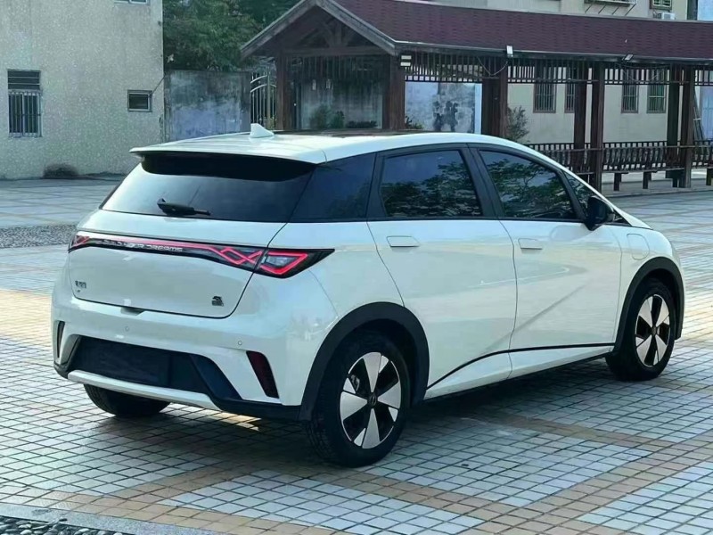 东莞23年比亚迪海豚4