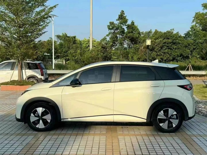 东莞23年比亚迪海豚6