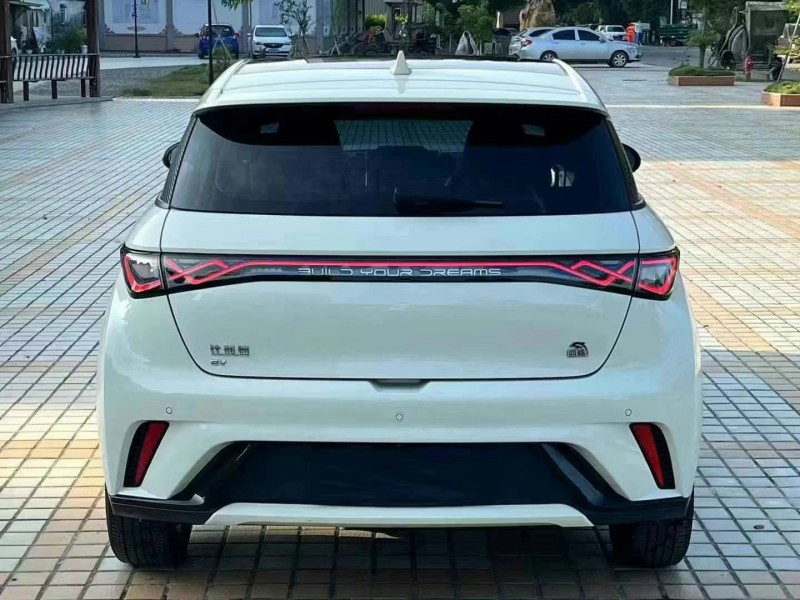 东莞23年比亚迪海豚8