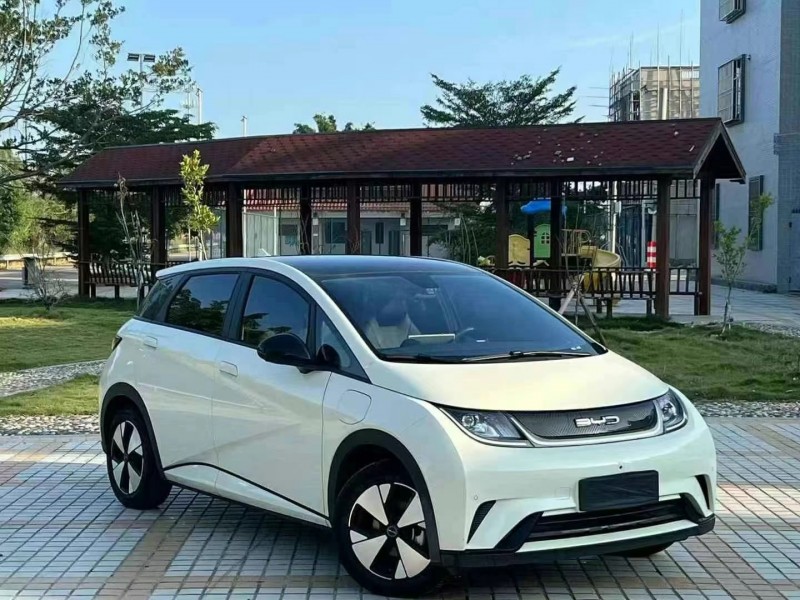 东莞23年比亚迪海豚9