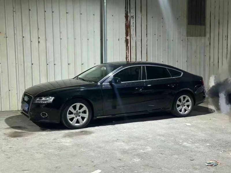 佛山11年奥迪A53