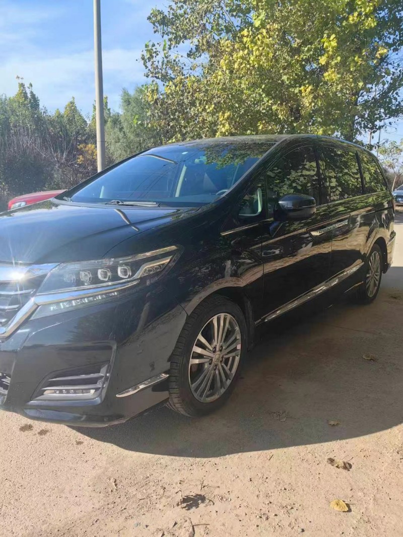 保定18年本田艾力绅8