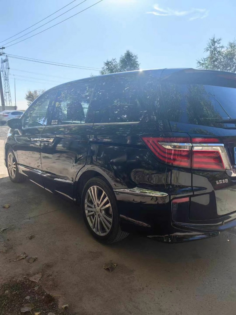 保定18年本田艾力绅9