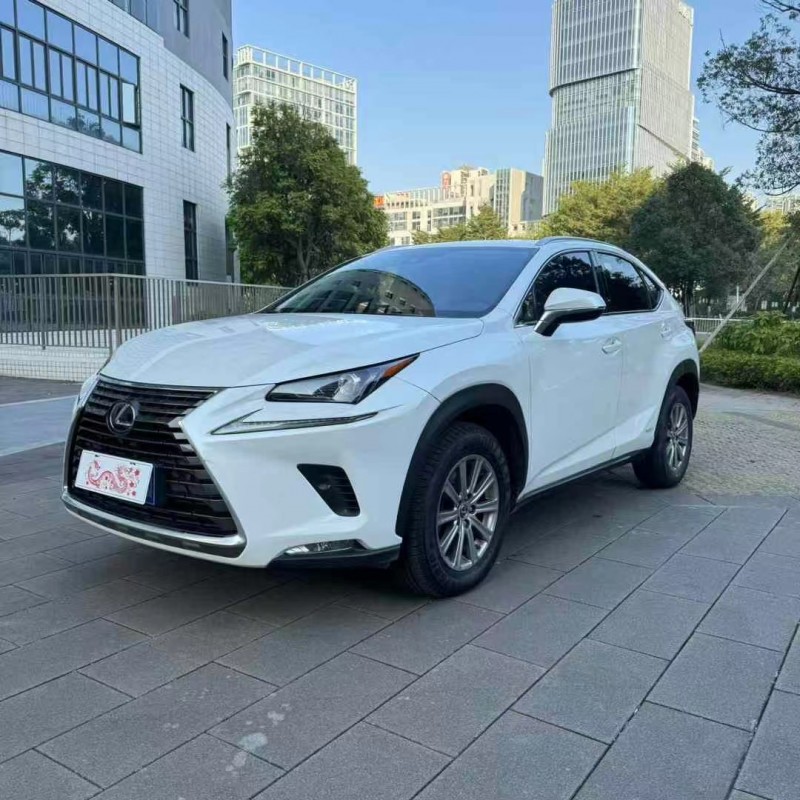 佛山20年雷克萨斯NX2