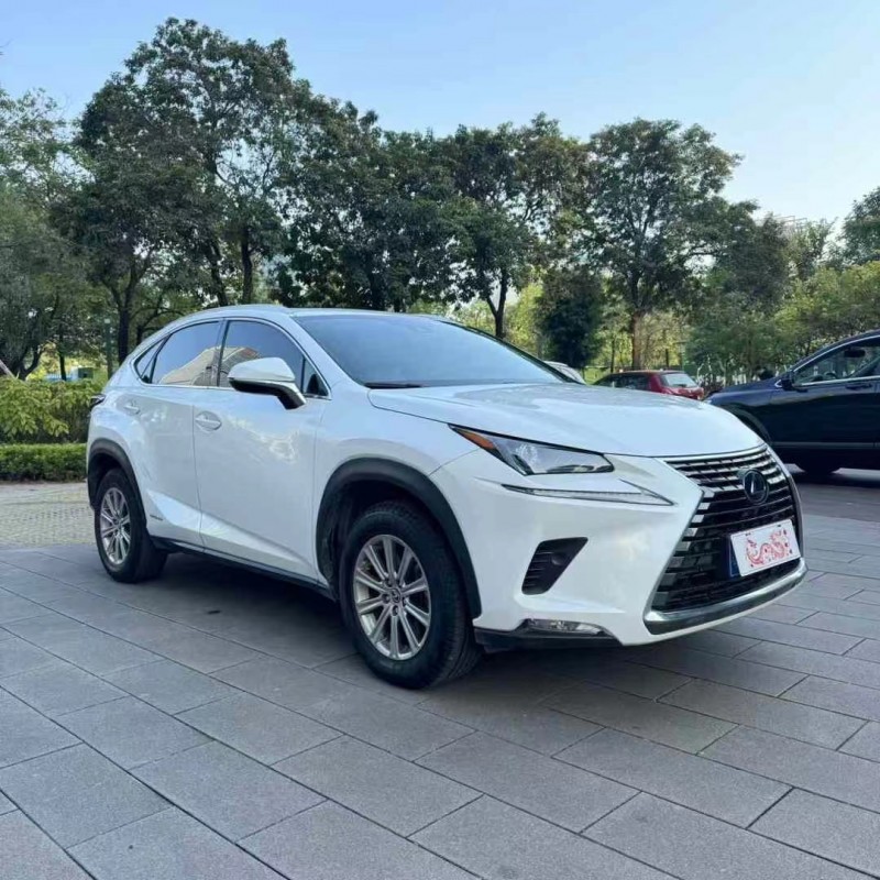佛山20年雷克萨斯NX3