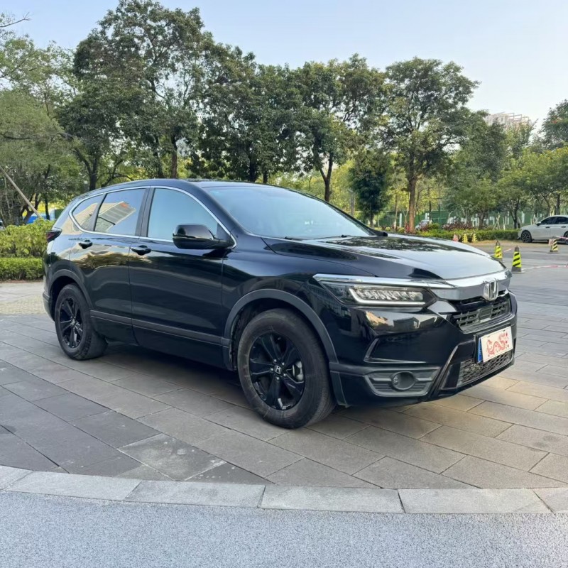 佛山20年本田皓影2