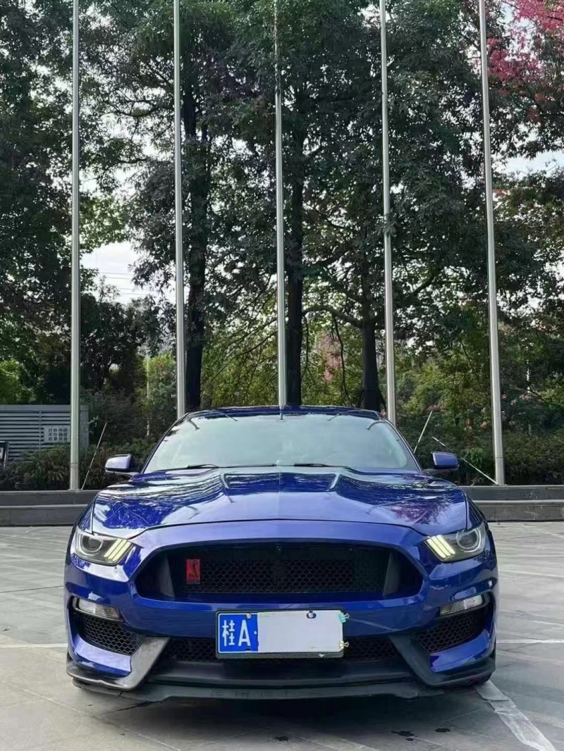 广州16年福特野马1