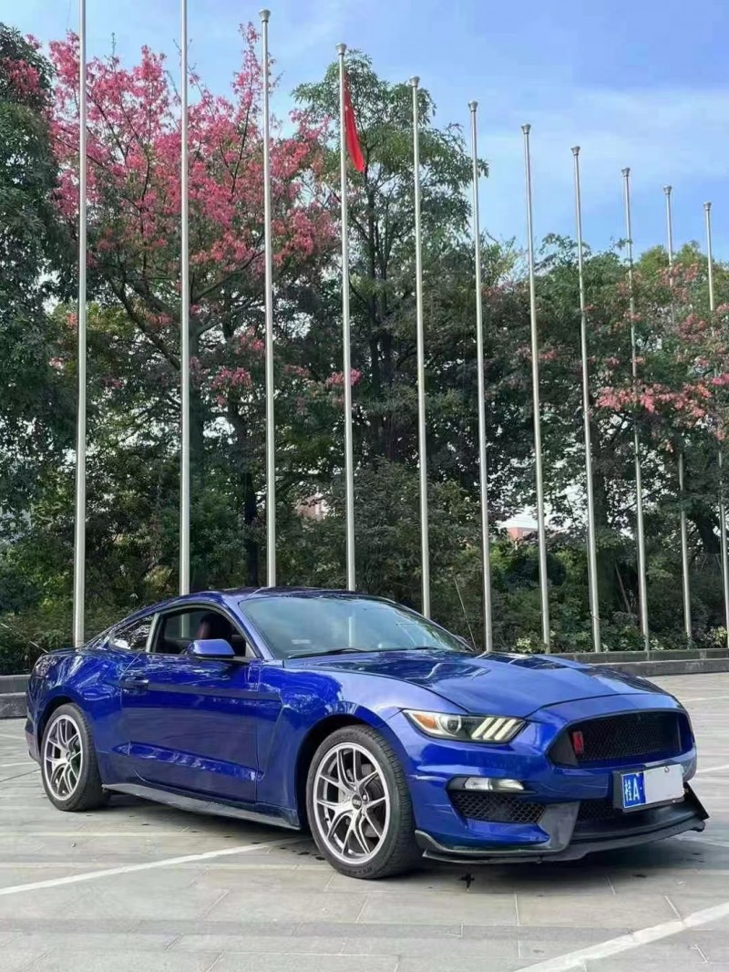 广州16年福特野马3