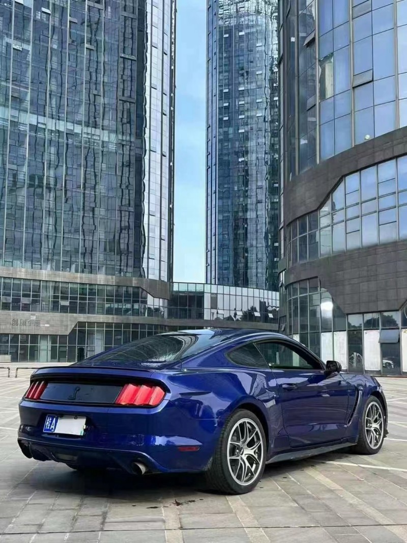 广州16年福特野马7