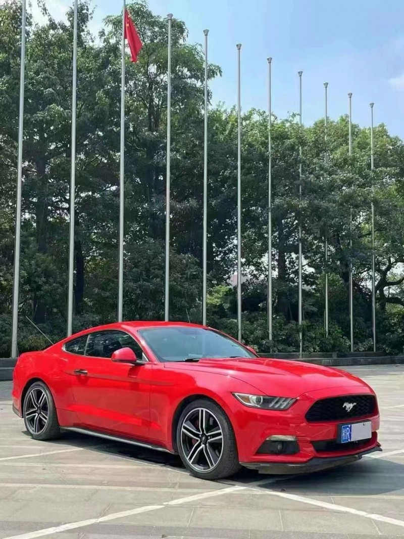 广州16年福特野马3