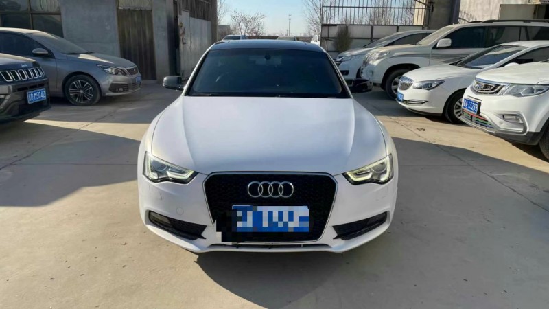 保定15年奥迪A51