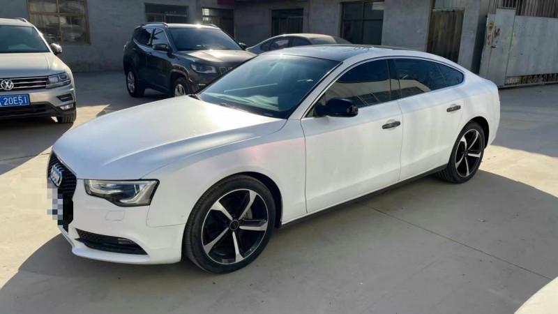 保定15年奥迪A52