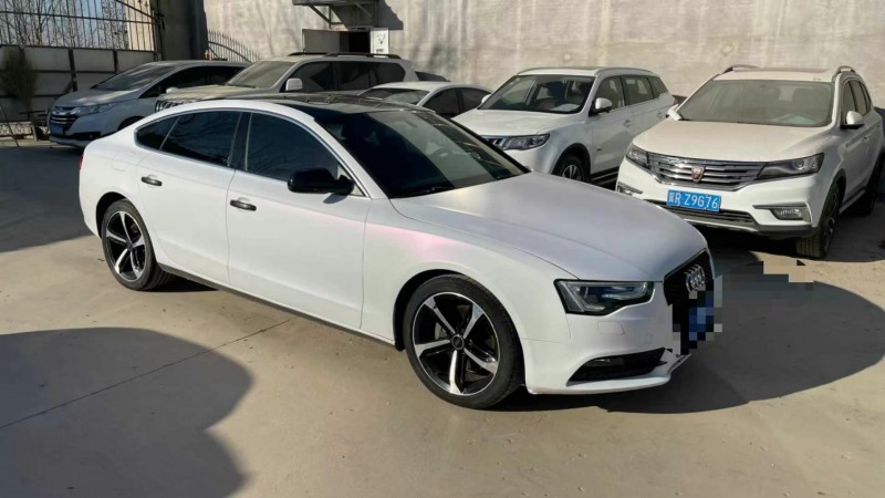 保定15年奥迪A53