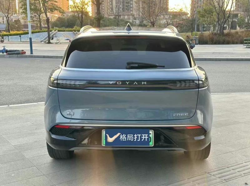 東莞21年嵐圖汽車FREE9