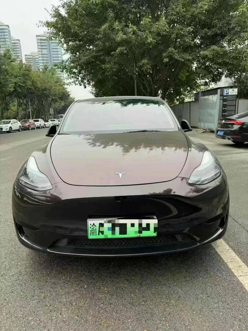 重慶22年特斯拉MODEL Y1