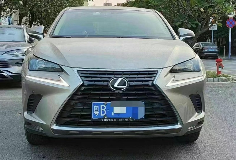 广州19年雷克萨斯NX1