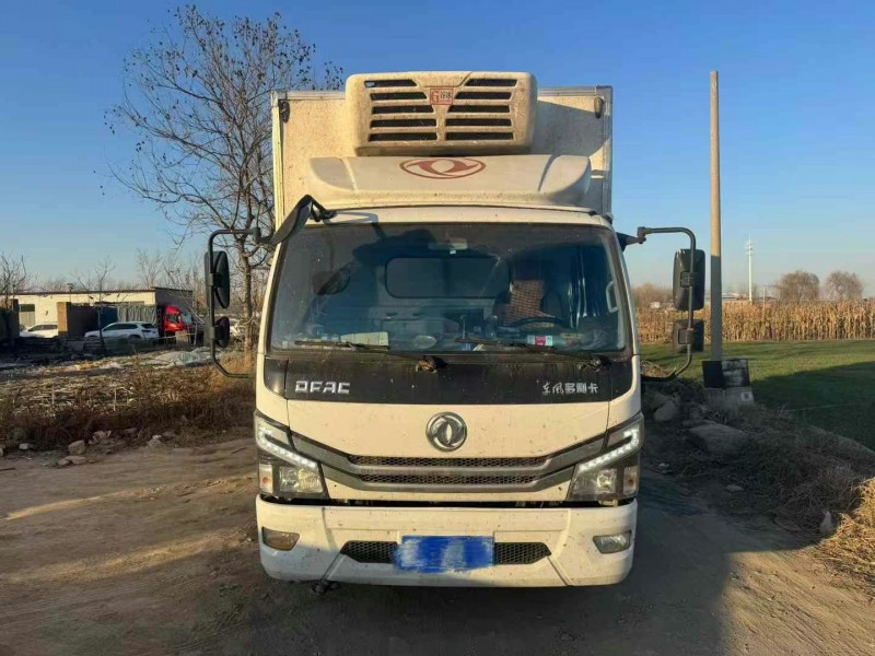 保定22年东风多利卡1