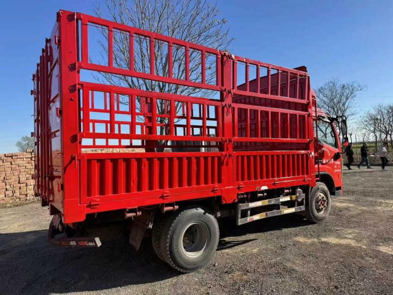 保定23年东风多利卡4