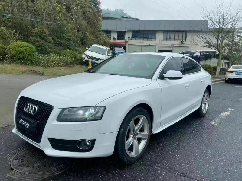 广州12年奥迪A52