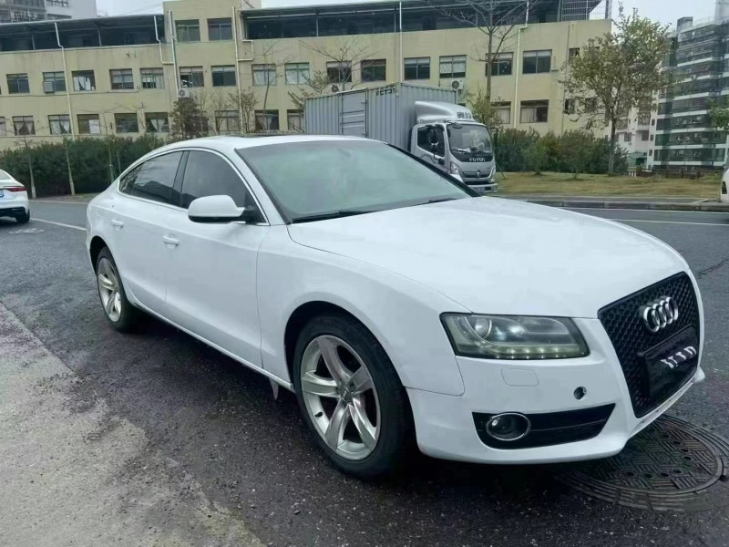 广州12年奥迪A53