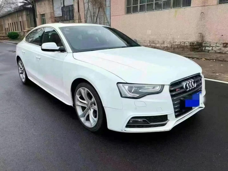 枣庄15年奥迪S52