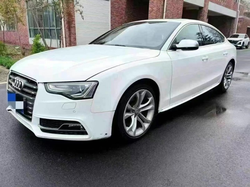 枣庄15年奥迪S53