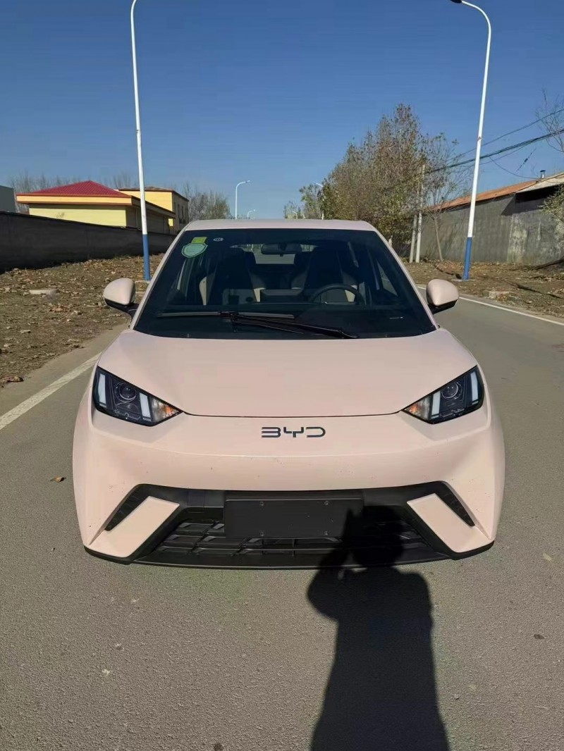 保定24年比亚迪海鸥1