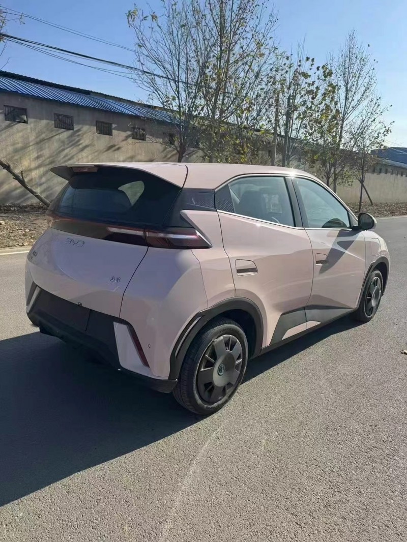 保定24年比亚迪海鸥9